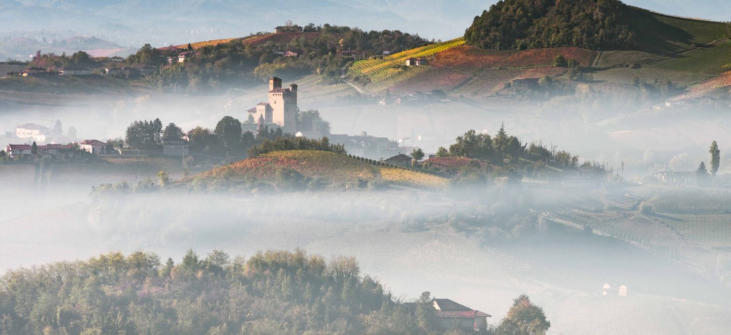 Versteckte Schätze: Die Felder und Wälder rund um die Burg Castello di Serralunga in Alba bergen feinste Dalikatessen. Foto: Nico de Pasquale / Getty Images