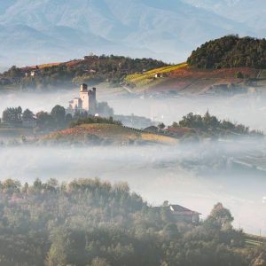 Versteckte Schätze: Die Felder und Wälder rund um die Burg Castello di Serralunga in Alba bergen feinste Dalikatessen. Foto: Nico de Pasquale / Getty Images