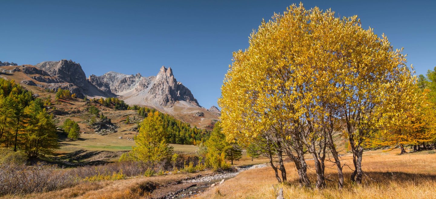 Herbstpanorama: In der südostfranzösischen Region Dauphiné treffen Berglandschaften auf vielfarbige Täler. Foto: Jan Roos/500px/Getty Image
