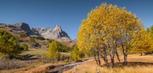 Herbstpanorama: In der südostfranzösischen Region Dauphiné treffen Berglandschaften auf vielfarbige Täler. Foto: Jan Roos/500px/Getty Image