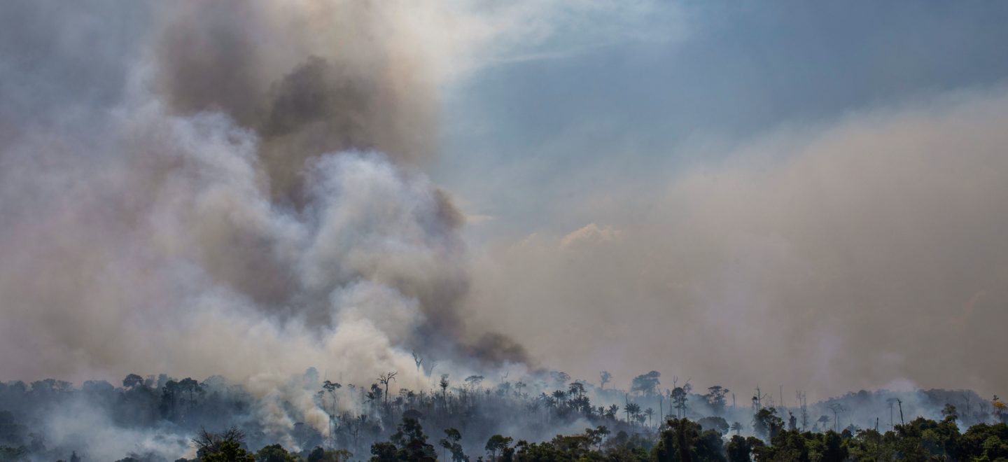 Illegale Rodungen: Mehr als 75.000 Brandherde verwüsteten 2019 weite Teile des Regenwalds in Brasilien. Das Schutzgebiet Krahô-Kanela im Westen des Landes wurde zu 95 Prozent zerstört. Foto: Joao Laet/AFP/Getty Images