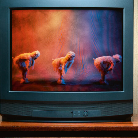 ALLE INHALTE VON ARTE visual data 5