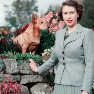 Queen Elisabeth II. vor einer Gartenmauer