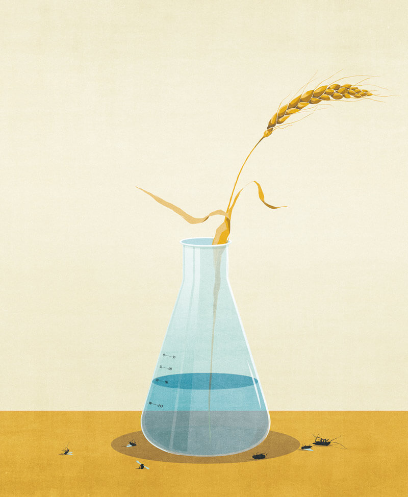 Illustration von einem Reagenzglas mit einem Gras und toten Fliegen