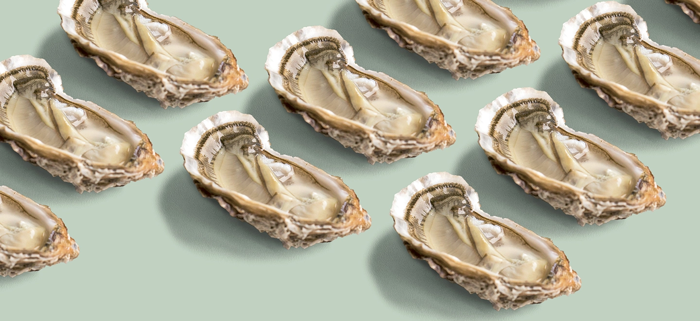 Austern