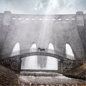 Ein Esel steht im Sonnenschein auf einer steinernen Brücke.