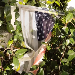 Eine US-Flagge in einem Vorgarten.