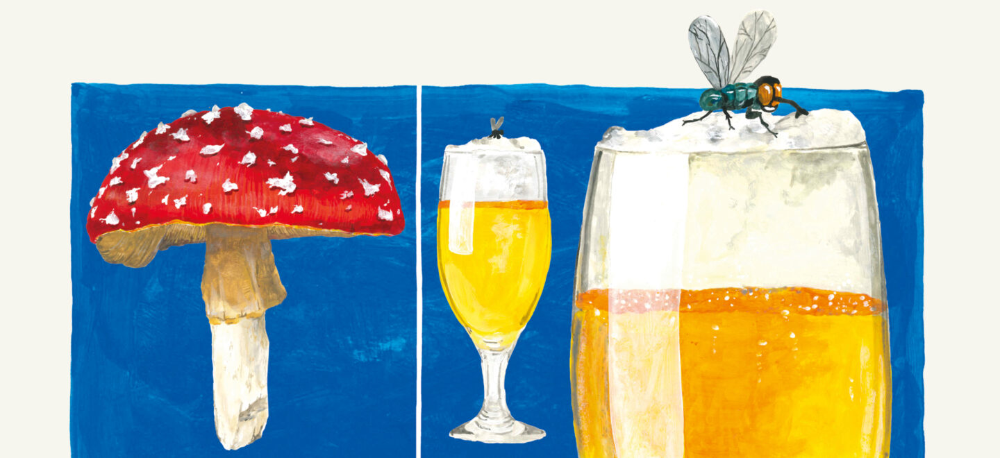 Illustration eines Fliegenpilzes.