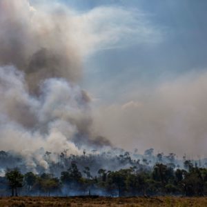 Illegale Rodungen: Mehr als 75.000 Brandherde verwüsteten 2019 weite Teile des Regenwalds in Brasilien. Das Schutzgebiet Krahô-Kanela im Westen des Landes wurde zu 95 Prozent zerstört. Foto: Joao Laet/AFP/Getty Images